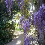 Sarrasine, Macon Est - Teritoria 3* Replonges