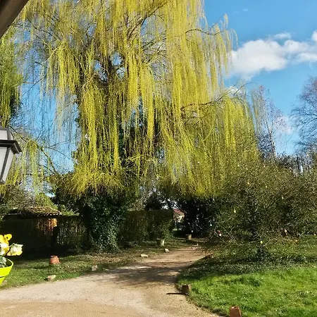 Sarrasine, Macon Est - Teritoria 3*