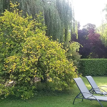 Sarrasine, Macon Est - Teritoria 3* Replonges