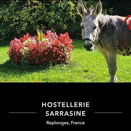 Sarrasine, Macon Est - Teritoria