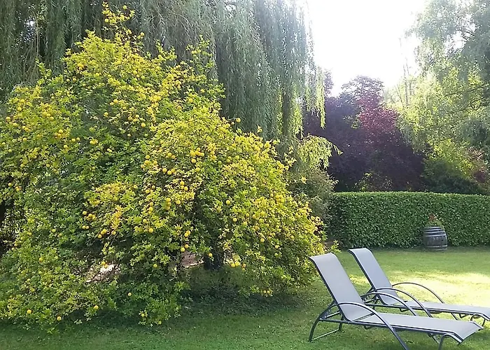 Sarrasine, Mâcon Est - Teritoria 3* Replonges